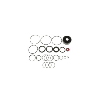 Steering Gear Seal Kit