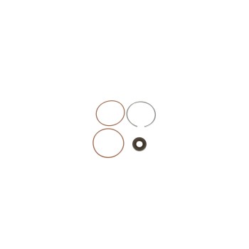 Power Steering Pump Seal Kit