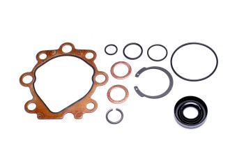 Power Steering Pump Seal Kit