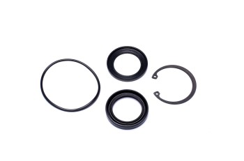Steering Gear Pitman Shaft Seal Kit