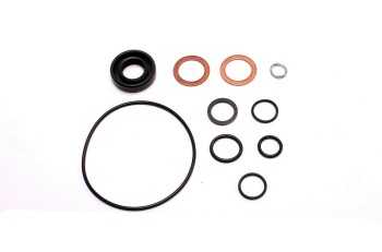 Power Steering Pump Seal Kit