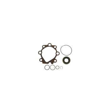 Power Steering Pump Seal Kit