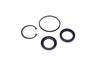 Steering Gear Pitman Shaft Seal Kit