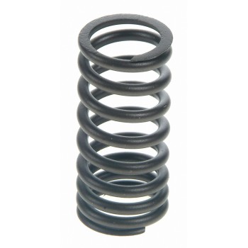 Engine Valve Spring