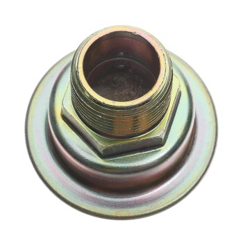 Secondary Air Injection Pump Check Valve