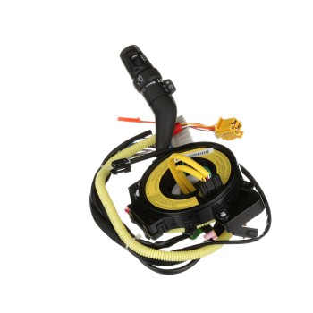 Cruise Control Switch