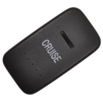 Cruise Control Switch