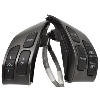 Cruise Control Switch