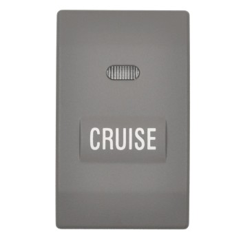 Cruise Control Switch