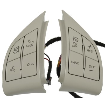 Cruise Control Switch