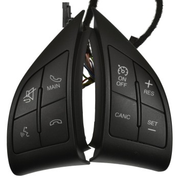 Cruise Control Switch