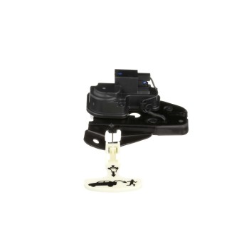 Trunk Lock Actuator Motor