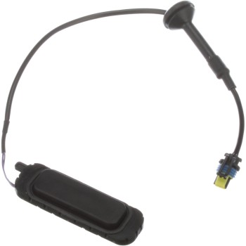 Liftgate Latch Release Switch