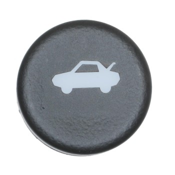 Trunk Lid Release Switch