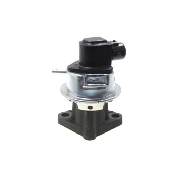Exhaust Gas Recirculation (EGR) Valve