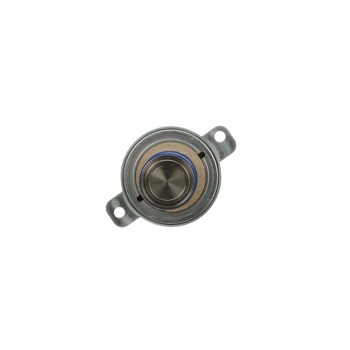 Exhaust Gas Recirculation (EGR) Valve