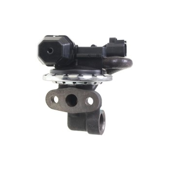Exhaust Gas Recirculation (EGR) Valve