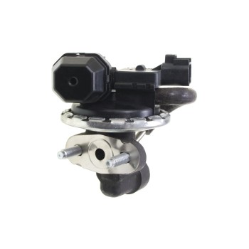 Exhaust Gas Recirculation (EGR) Valve