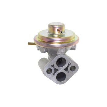 Exhaust Gas Recirculation (EGR) Valve