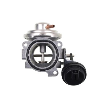 Exhaust Gas Recirculation (EGR) Valve