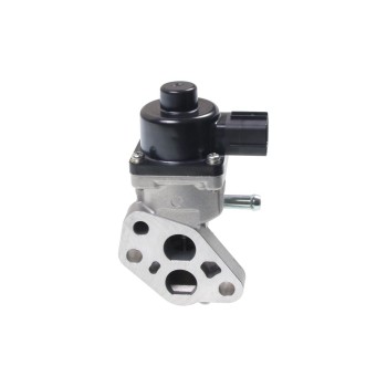 Exhaust Gas Recirculation (EGR) Valve