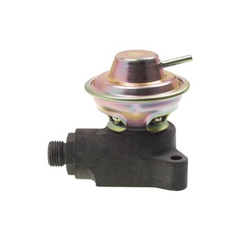 Exhaust Gas Recirculation (EGR) Valve