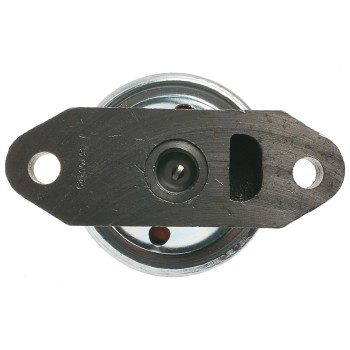 Exhaust Gas Recirculation (EGR) Valve