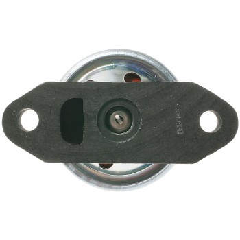 Exhaust Gas Recirculation (EGR) Valve