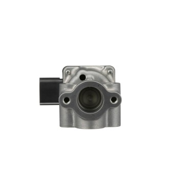 Exhaust Gas Recirculation (EGR) Valve