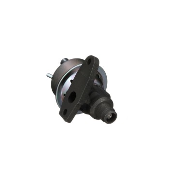 Exhaust Gas Recirculation (EGR) Valve