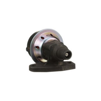 Exhaust Gas Recirculation (EGR) Valve