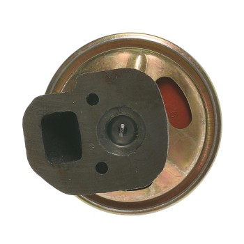 Exhaust Gas Recirculation (EGR) Valve