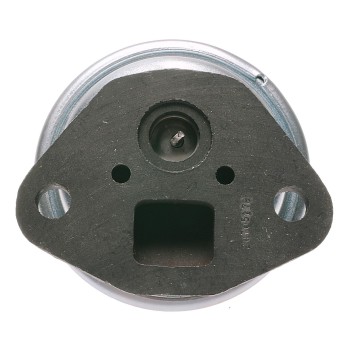 Exhaust Gas Recirculation (EGR) Valve