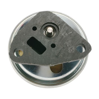 Exhaust Gas Recirculation (EGR) Valve