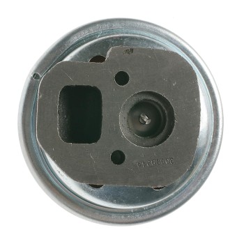 Exhaust Gas Recirculation (EGR) Valve
