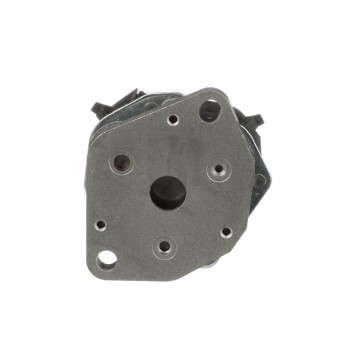 Exhaust Gas Recirculation (EGR) Valve