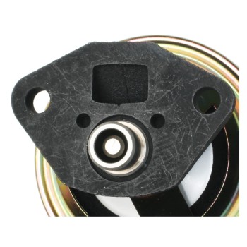 Exhaust Gas Recirculation (EGR) Valve