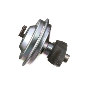 Exhaust Gas Recirculation (EGR) Valve