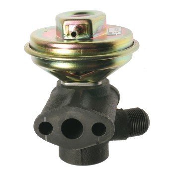 Exhaust Gas Recirculation (EGR) Valve