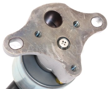 Exhaust Gas Recirculation (EGR) Valve