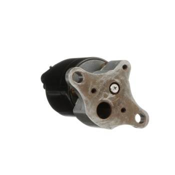 Exhaust Gas Recirculation (EGR) Valve
