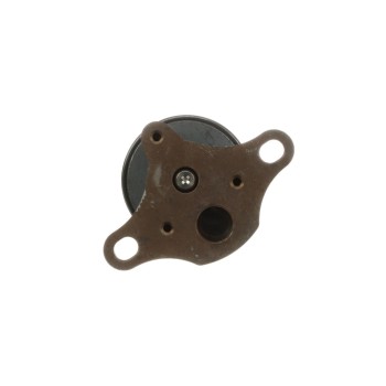 Exhaust Gas Recirculation (EGR) Valve