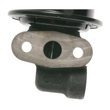 Exhaust Gas Recirculation (EGR) Valve