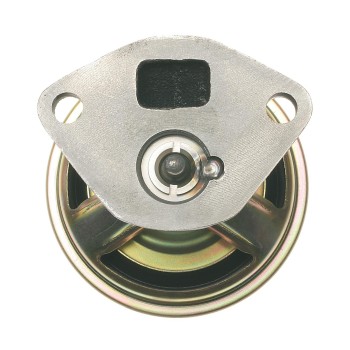 Exhaust Gas Recirculation (EGR) Valve