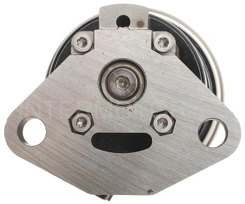 Exhaust Gas Recirculation (EGR) Valve