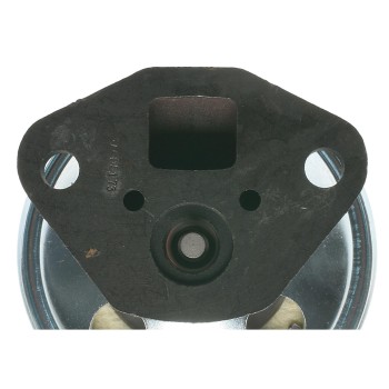 Exhaust Gas Recirculation (EGR) Valve
