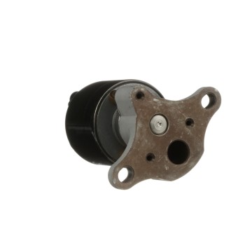 Exhaust Gas Recirculation (EGR) Valve