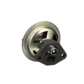 Exhaust Gas Recirculation (EGR) Valve