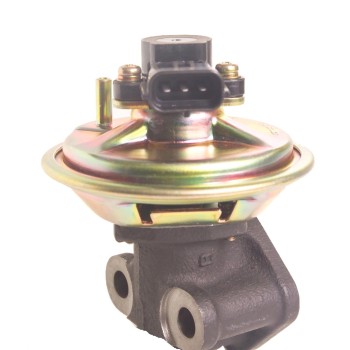 Exhaust Gas Recirculation (EGR) Valve