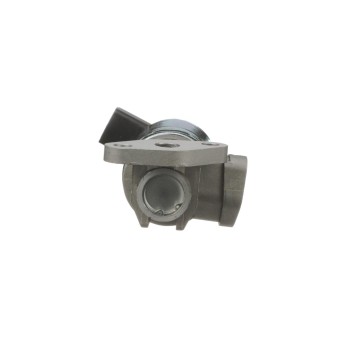 Exhaust Gas Recirculation (EGR) Valve
